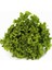 Kıvırcık Salata Adet 1