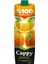 100 Portakal Suyu 1 Lt 1