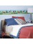 RoomMates RMK1505BCS Mickey Mouse ve Arkadaşları Bordür Duvar Sticker 1