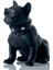 Köpek Speaker 1