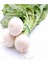 Beyaz Turp Tohumu 10gr 1 Paket 1