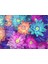 Cam Tablo Çiçekli Tablo 50 x 70 cm Uv Baskı Temperli 1