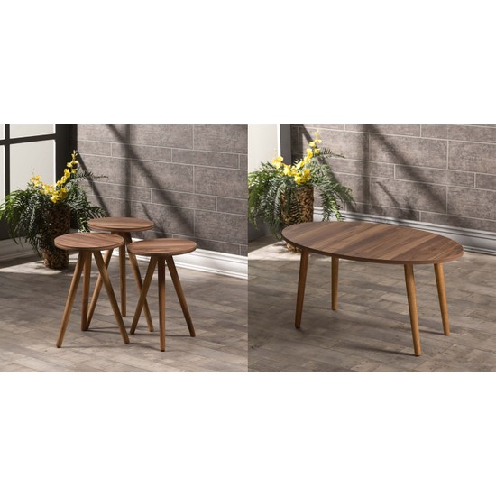 Falez Mobilya AksesuarZİGON SEHPA VE ORTA SEHPA SET AHŞAP Fiyatı