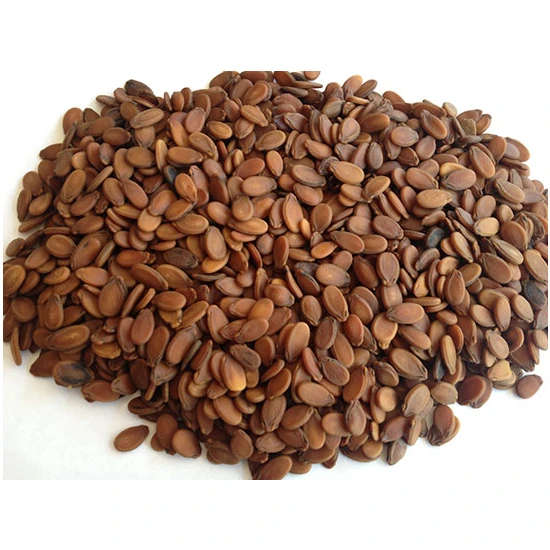 hepsiburada Özgüreloğlu Kuruyemiş Siirt Karpuz Çekirdegi Haşlanmış 1 kg hepsiburada Özgüreloğlu Kuruyemiş Siirt Karpuz Çekirdegi Haşlanmış 1 kg