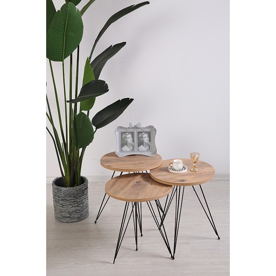 Yelken Kemençe Tambur Barok Eko Zigon Sahpa Takımı Tel Fiyatı Yelken Kemençe Tambur Barok Eko Zigon Sahpa Takımı Tel Fiyatı