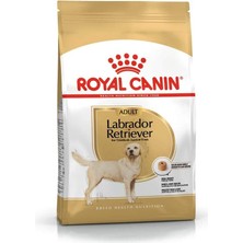 Royal Canin Labrador Retrıever Adultköpek Maması, 12 kg