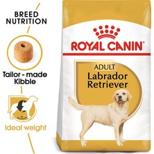 Royal Canin Labrador Retrıever Adultköpek Maması, 12 kg