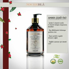 NOCHEBLA Saç Dökülmesini Engelleyen At Kuyruğu ve Amber Bitki Özlü Şampuan (500 ml)