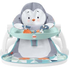 Fisher-Price Fisher Price Tepsili Penguen Adası Ana Kucağı HBF27