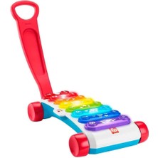 Fisher-Price Fisher Price Işıklı Dev Ksilofon HJK36