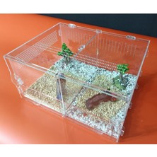 Pusula Maket Sürüngen Kafesi Akrilik Terrarium