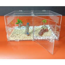 Pusula Maket Sürüngen Kafesi Akrilik Terrarium