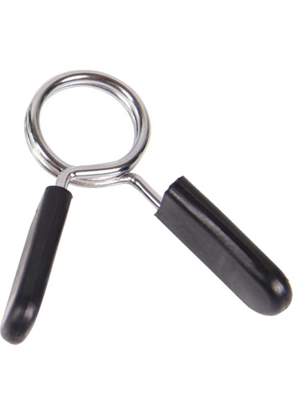 Çelik Halter Bahar Kelepçe Standart '' Klipsi Hızlı Kilit Yaka Ayarlayıcı 28MM (Yurt Dışından) indirimleri