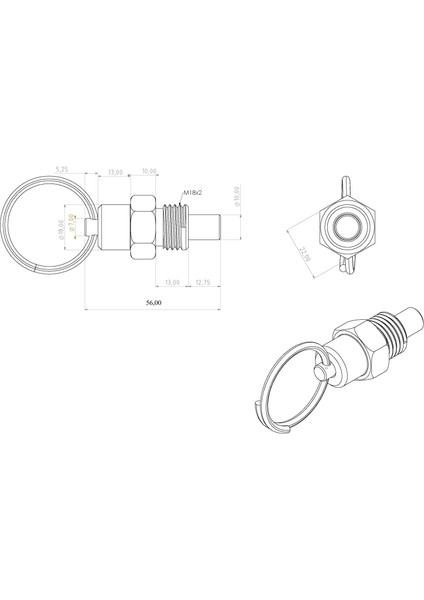 Kilitleme Pimi M18x2