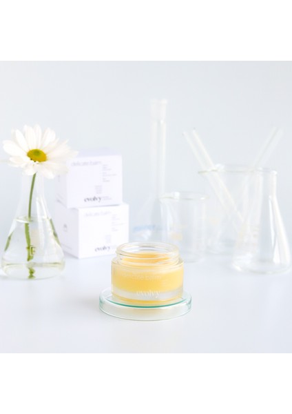 Delicate Balm Doğal Yüz ve Vücut Balmı fiyatları