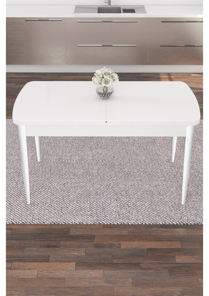 Concept Nex Serisi Beyaz 80 x 132 cm Mdf Mutfak Masasıtakımı Metal Iskelet6 Sandalye Gümüş Halka