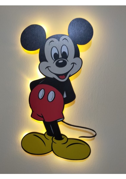 Dekoratif LED Işıklı Toplar Oda Süsleme ve Aydınlatma