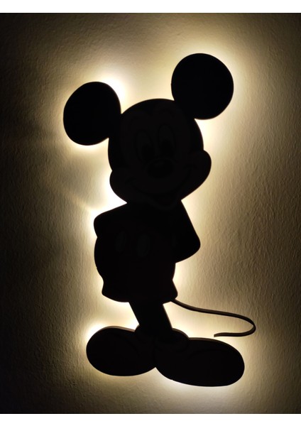 Dekoratif LED Işıklı Toplar Oda Süsleme ve Aydınlatma modelleri