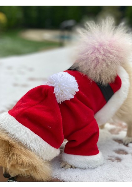 Kedi Köpek Kıyafetleri Yılbaşı Noel Kostüm Elbise