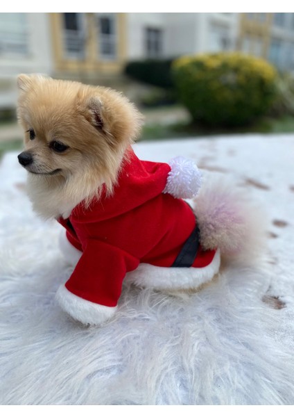 Kedi Köpek Kıyafetleri Yılbaşı Noel Kostüm Elbise modelleri