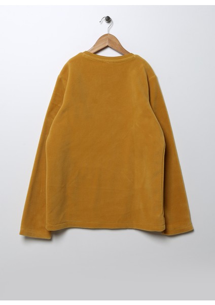 Düz Erkek Çocuk Sarı Sweatshirt Demhu