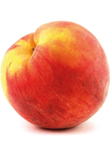 Glohaven Şeftali Fidanı ( Aşılı - 2 Yaş ) - Açık Kök - 100-120 cm