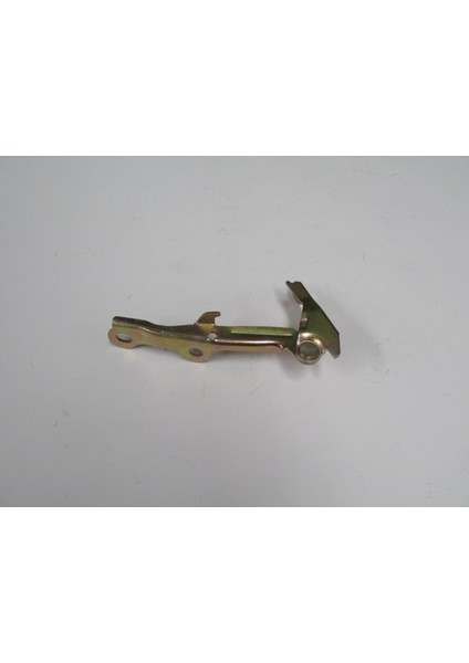 Hyundaı Accent- 98/00 Kaput Menteşesi Sağ (Tyg) 79120-22000