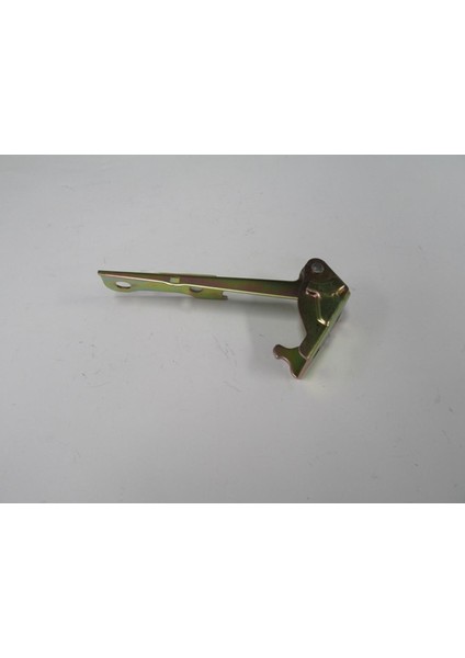 Hyundaı Accent- Admıre- 03/05 Kaput Menteşesi Sol (Tyg) 79110-25A00