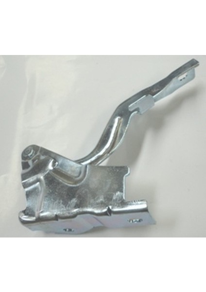 Hyundaı Santa Fe- 06/10 Kaput Menteşesi Sağ (Tyg) 791202B000