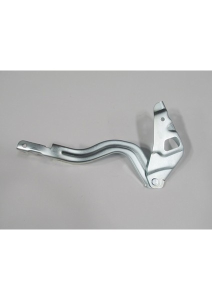 Hyundaı Accent- Blue- 11/18 Kaput Menteşesi Sağ (Tyg) 79120-0U000