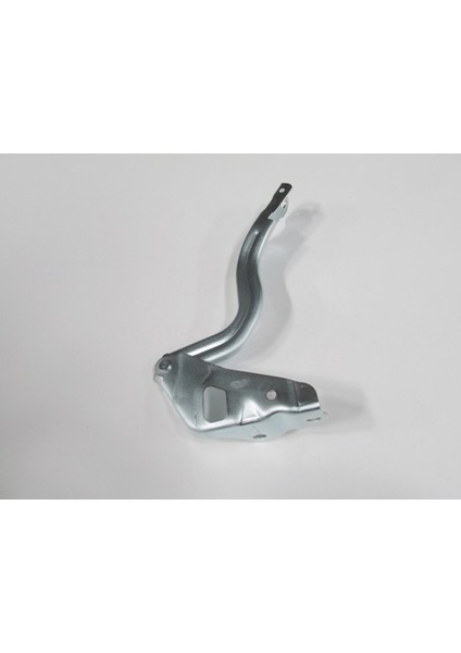 Hyundaı Accent- Blue- 11/18 Kaput Menteşesi Sağ (Tyg) 79120-0U000