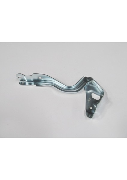 Hyundaı Accent- Blue- 11/18 Kaput Menteşesi Sağ (Tyg) 79120-0U000