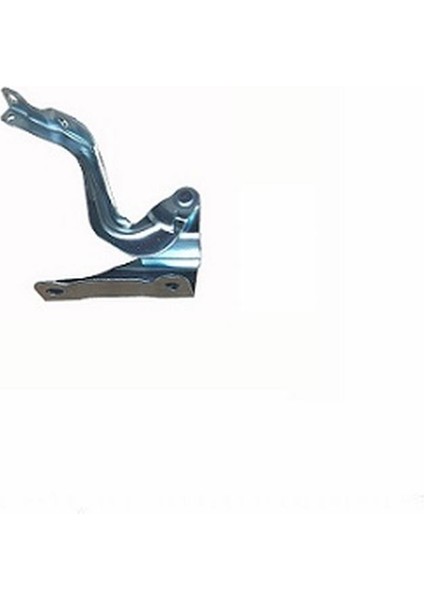 Hyundaı Accent Kaput Menteşesi Sağ 2007- 791201E000