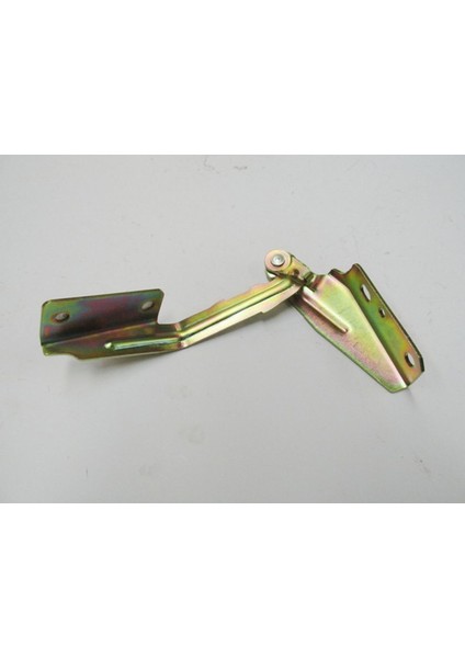 Ford Focus- Sd/hb- 98/05 Kaput Menteşesi Sağ (Tyg) 4S4116800AA fiyatları