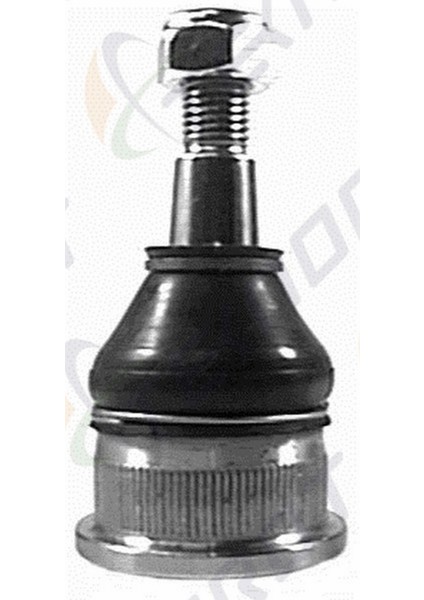 Volkswagen Beetle 1964-1981 Rotil Ön Alt 131405371G