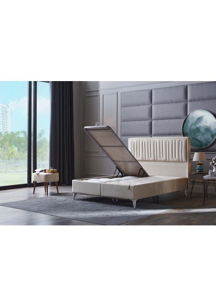 Petra Plus Baza 100X200 - Krem modelleri