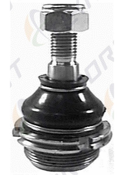 Cıtroen Bx 1982-1994 / Peugeot 405 1985-1997 / Peugeot 305 1984-1990 Rotil Ön 364021