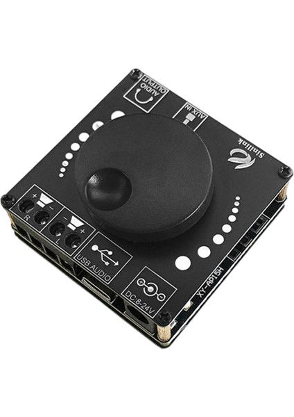 Ses Sistemi İçin 2X20W Dijital Sesli 8-24V Devresi (Yurt Dışından)