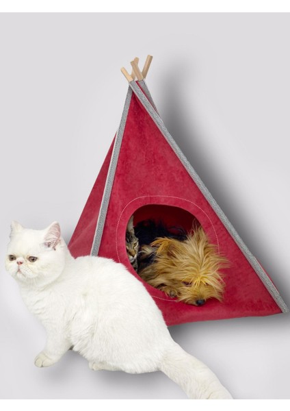 Tepee Five Kedi Evi, Kedi Barınağı, Kedi Çadırı, Minderli Kedi Yatağı