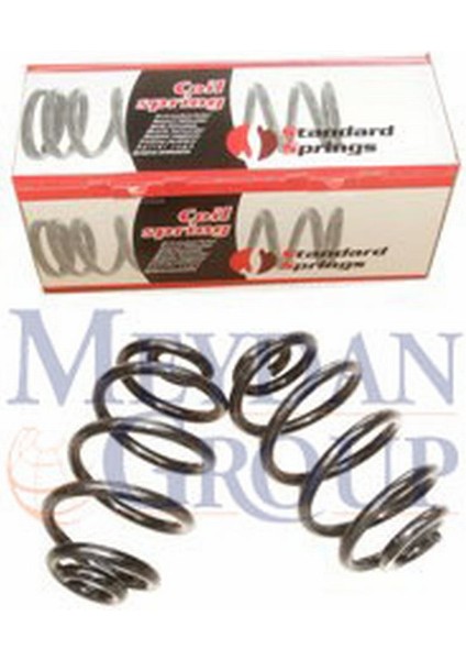 Bmw 3 Serı- E30- 84/91 Arka Helezon Yayı Sağ/sol Aynı (2li SET)320İ/323İ/325İ (13,50X138X249) (Stdr 33539058786