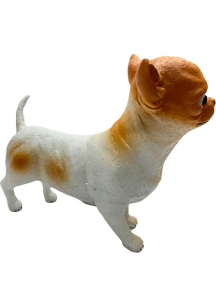 Soft Köpekler - Chihuahua / Şivava Cinsi Köpek - E013