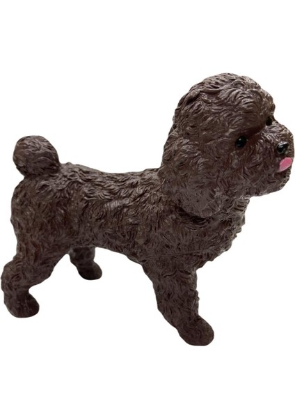 Soft Köpekler - Poodle Cinsi Köpek - E013