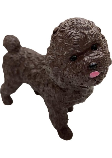 Soft Köpekler - Poodle Cinsi Köpek - E013