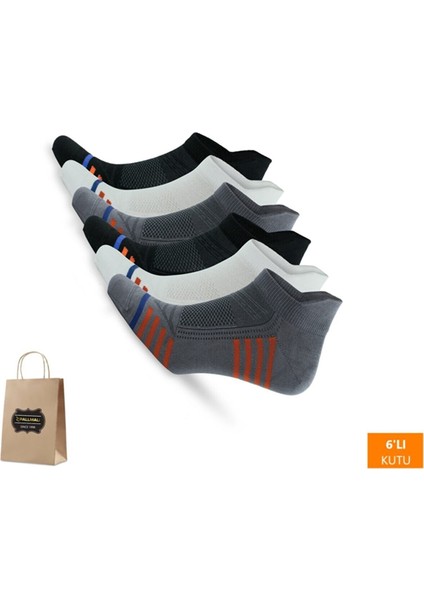 Collection 6 Çift Bambu Spor Dikişsiz Performans Kısa Patik Erkek Çorap Seti 3150