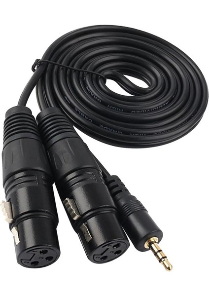 3,5mm Mini Stereo Trs - 2 Çift Xlr 3 Pin Dişi Y Ayırıcı Kablosu 1.5m (Yurt Dışından)