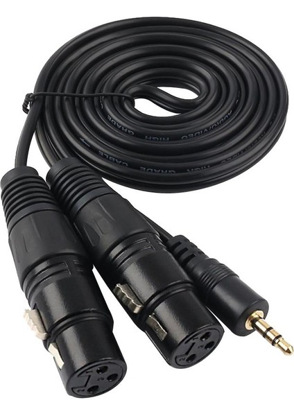 3,5mm Mini Stereo Trs - 2 Çift Xlr 3 Pin Dişi Y Ayırıcı Kablosu 1.5m (Yurt Dışından)