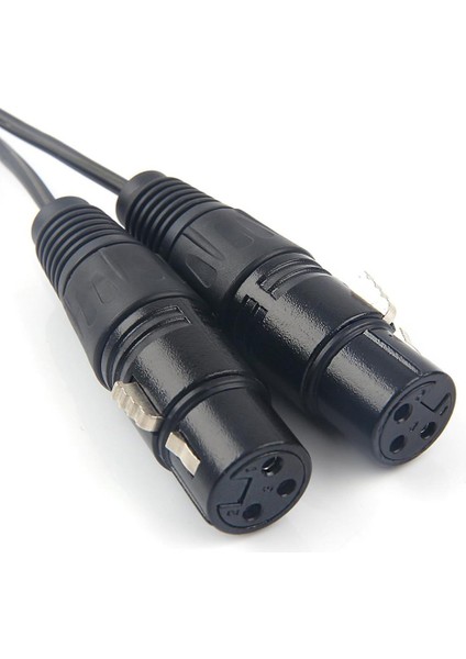 3,5mm Mini Stereo Trs - 2 Çift Xlr 3 Pin Dişi Y Ayırıcı Kablosu 1.5m (Yurt Dışından)