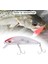 Balıkçılık Lures Yüzer Topwater Lure Gerçekçi Poppers Bas Beyaz Geri Swimbait (Yurt Dışından) 3