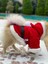 Kedi Köpek Kıyafetleri Yılbaşı Noel Kostüm Elbise 2