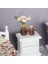 1:12 Dollhouse Minyatür Simülasyon Süsleme Kahvesi Için Saksı Bitkileri (Yurt Dışından) 4
